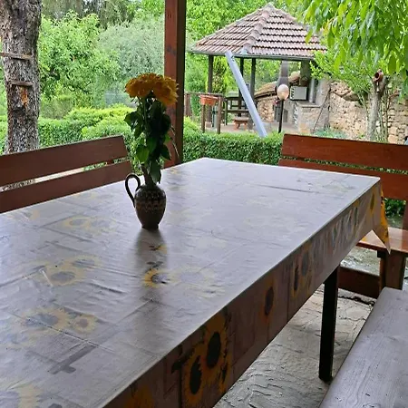 فيلة дядо цоньовата къща *