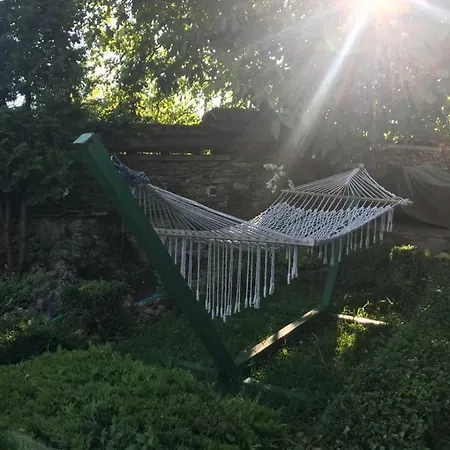 فيلة дядо цоньовата къща *